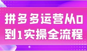 拼多多运营从0到1实操全流程-财仔梦想资源网