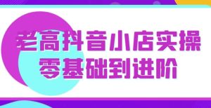 老高抖音小店实操零基础到进阶-财仔梦想资源网