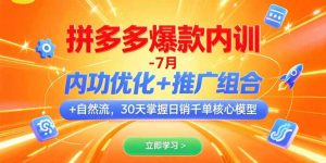 拼多多爆款内训-7月内功优化+推广组合+自然流30天掌握日销千单核心模型-财仔梦想资源网