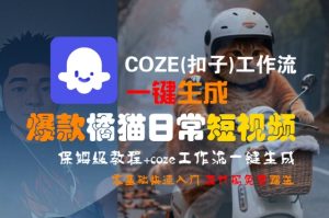 COZE(扣子)工作流一键生成爆款橘猫日常短视频，保姆级教程，零基础快速入门-财仔梦想资源网