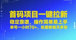 首码项目一键拉新，稳定靠谱，操作简单易上手，单号一小时70+，批量做每天多张【揭秘】-财仔梦想资源网