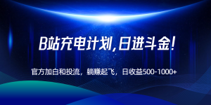 B站充电计划，官方加白和投流，躺赚起飞，日收益500-1000+！-财仔梦想资源网
