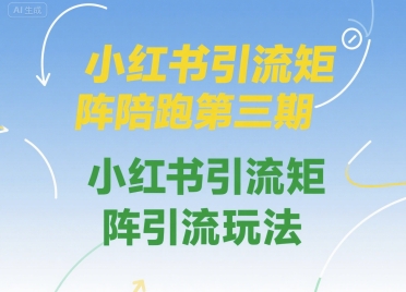小红书引流矩阵陪跑第三期，小红书引流矩阵引流玩法-财仔梦想资源网
