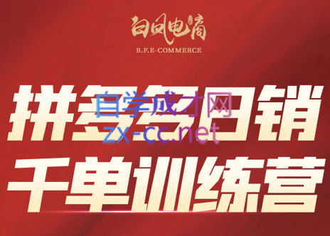 白凤电商·拼多多日销千单训练营(更新7月)-财仔梦想资源网
