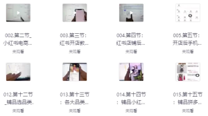 小红书高级电商课程，新手小白实操教学-财仔梦想资源网