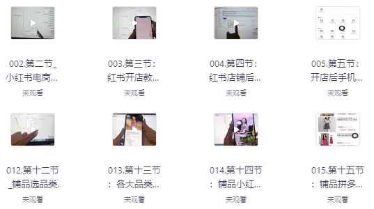 小红书高级电商课程，新手小白实操教学-财仔梦想资源网