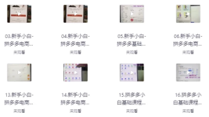 拼多多电商课程，新手纯小白必看，零基础教学快速入门-财仔梦想资源网