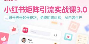 小红书矩阵引流实战课3.0：账号养号起号技巧，免裴矩阵运营，AI内容生产-财仔梦想资源网