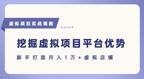 抓住虚拟项目各平台优势，新手轻松月入1W+(给出具体建议)-财仔梦想资源网