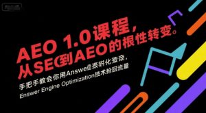 AEO1.0课程，从SEO到AE0的基命性转变，手把手教会你用AnswerEngineOptimization技术抢回流量-财仔梦想资源网