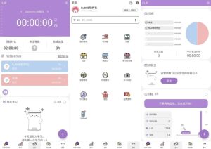 FLIP专注v1.22.39高级版-财仔梦想资源网