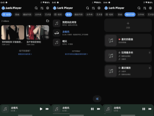 LarkPlayer云雀播放器v6.24.6高级版-财仔梦想资源网