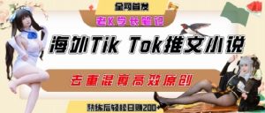 海外tiktok小说推文暴力项目,高停留率,高转化率,上手后一天搞顿饭钱不是问题-财仔梦想资源网