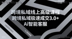 跨境私域线上高级课程，跨境私域极速成交3.0+Ai智能客服-财仔梦想资源网