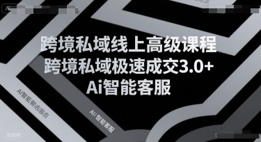 跨境私域线上高级课程，跨境私域极速成交3.0+Ai智能客服-财仔梦想资源网
