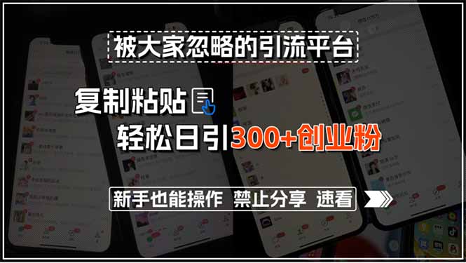 被大家忽略的引流平台，复制粘贴轻松日引300+创业粉，新手也能操作，禁…-财仔梦想资源网
