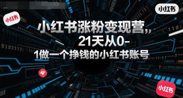小红书涨粉变现营，21天从0-1做一个挣钱的小红书账号-财仔梦想资源网