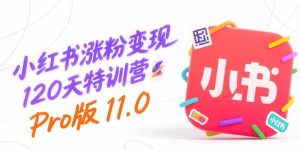 小红书涨粉变现120天特训营Pro版11.0:从0到1掌握平台运营,内容制作和变现-财仔梦想资源网