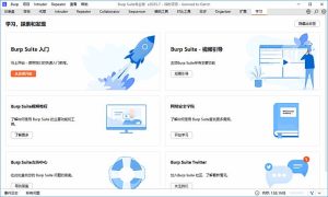 BurpSuite(Web应用安全测试工具)Professional2025.7汉化绿色版-财仔梦想资源网