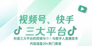 视频号、快手、抖音三大平台的剪辑与数字人直播技术，内容涵盖20+热门赛道-财仔梦想资源网