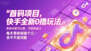 首码项目，快手全新0撸玩法，有快手就可以做，可矩阵放大，每天零碎时间搞个几张不是问题【揭秘】-财仔梦想资源网