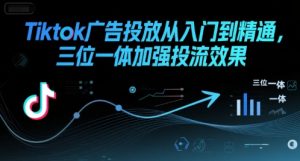 Tiktok广告投放从入门到精通，三位一体加强投流效果-财仔梦想资源网