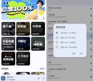 音乐大全v2.0.1-财仔梦想资源网