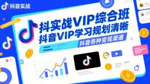 抖音实战VIP综合班，抖音VIP学习规划请晰抖音各种变现渠道-财仔梦想资源网