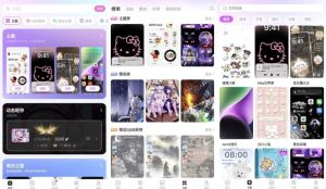 主题秀秀v1.0高级版-财仔梦想资源网