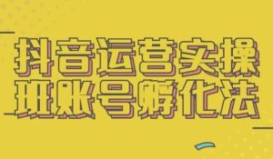 抖音运营实操班账号孵化法-财仔梦想资源网