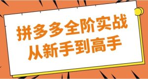 拼多多全阶实战从新手到高手-财仔梦想资源网