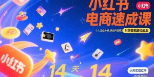 小红书虚拟电商速成课：个人定位分析，原创产品开发，14天变现路径规划-财仔梦想资源网