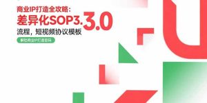 商业IP打造全攻略：差异化SOP3.0流程，短视频协议模板，婚恋项目实战案例-财仔梦想资源网