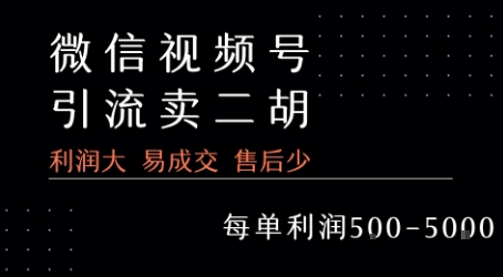 视频号卖二胡教程，利润大易成交售后少，一单利润5张+-财仔梦想资源网