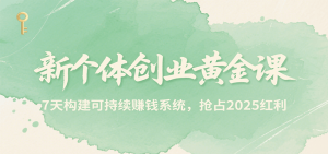 新个体创业黄金课,7天构建可持续赚钱系统,抢占2025红利-财仔梦想资源网