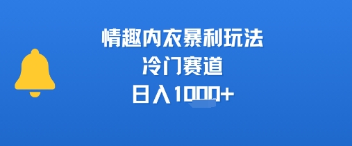情趣内衣暴利玩法，冷门赛道，日入1k+-财仔梦想资源网