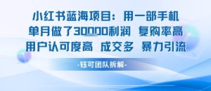小红书蓝海项目，一部手机单月做了3W利润，小白也能月入过1W用户认可度高成交多-财仔梦想资源网