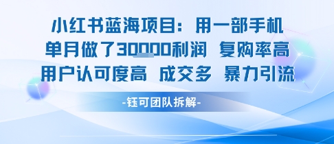 小红书蓝海项目，一部手机单月做了3W利润，小白也能月入过1W用户认可度高成交多-财仔梦想资源网