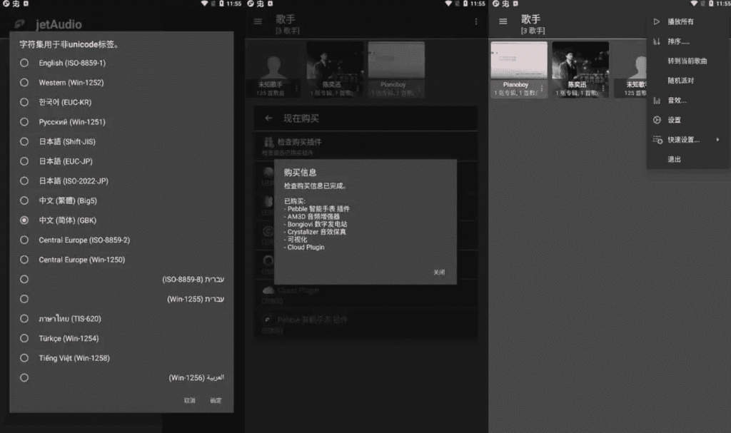 jetAudiov12.3.3最强音乐播放器，高级多语言版-财仔梦想资源网