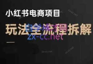 菲菲老师·小红书电商玩法(更新7月)-财仔梦想资源网