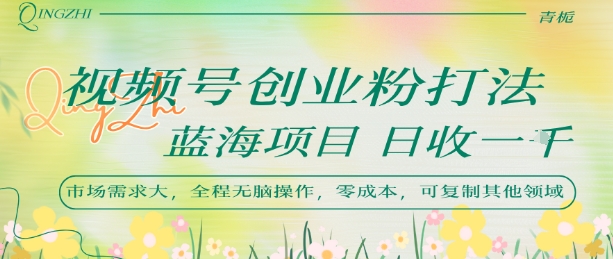 视频号创业粉打法，日入1k，蓝海项目，市场需求大，全程无脑操作，可复制-财仔梦想资源网