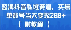 蓝海抖音私域赛道，实操单账号当天变现288+(附教程)-财仔梦想资源网