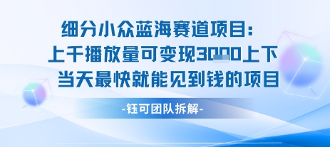 小众蓝海赛道项目：当天变现1k+适合新手操作+适合长期玩-财仔梦想资源网
