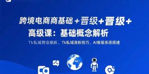 跨境电商基础+晋级+高级课:基础概念解析,Tk私域涨粉技巧,AI客服系统搭建-财仔梦想资源网