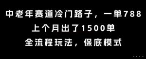中老年赛道冷门路子，一单788，上个月出了1500单，全流程玩法，保底模式【揭秘】-财仔梦想资源网
