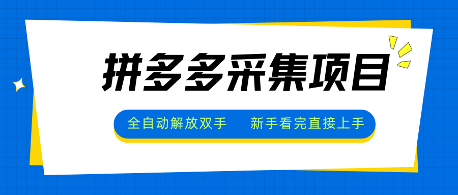 拼多多采集项目，全自动解放双手，单号日入30+-财仔梦想资源网