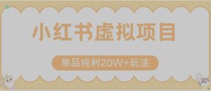 小红书卖虚拟产品，单品纯利20W+玩法分享（节系列课程）-财仔梦想资源网