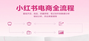 小红书电商全流程,基础开店、选品、流量获取、笔记创作到数据分析、供应商管理等-财仔梦想资源网