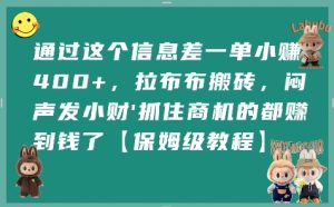 通过这个信息差一单小挣4张+，拉布布搬砖，闷声发小财抓住商机的都挣到钱了【保姆级教程】-财仔梦想资源网