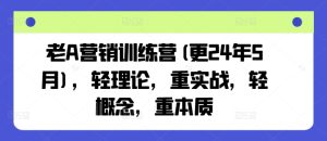 老A营销训练营(更25年7月),轻理论,重实战,轻概念,重本质-财仔梦想资源网